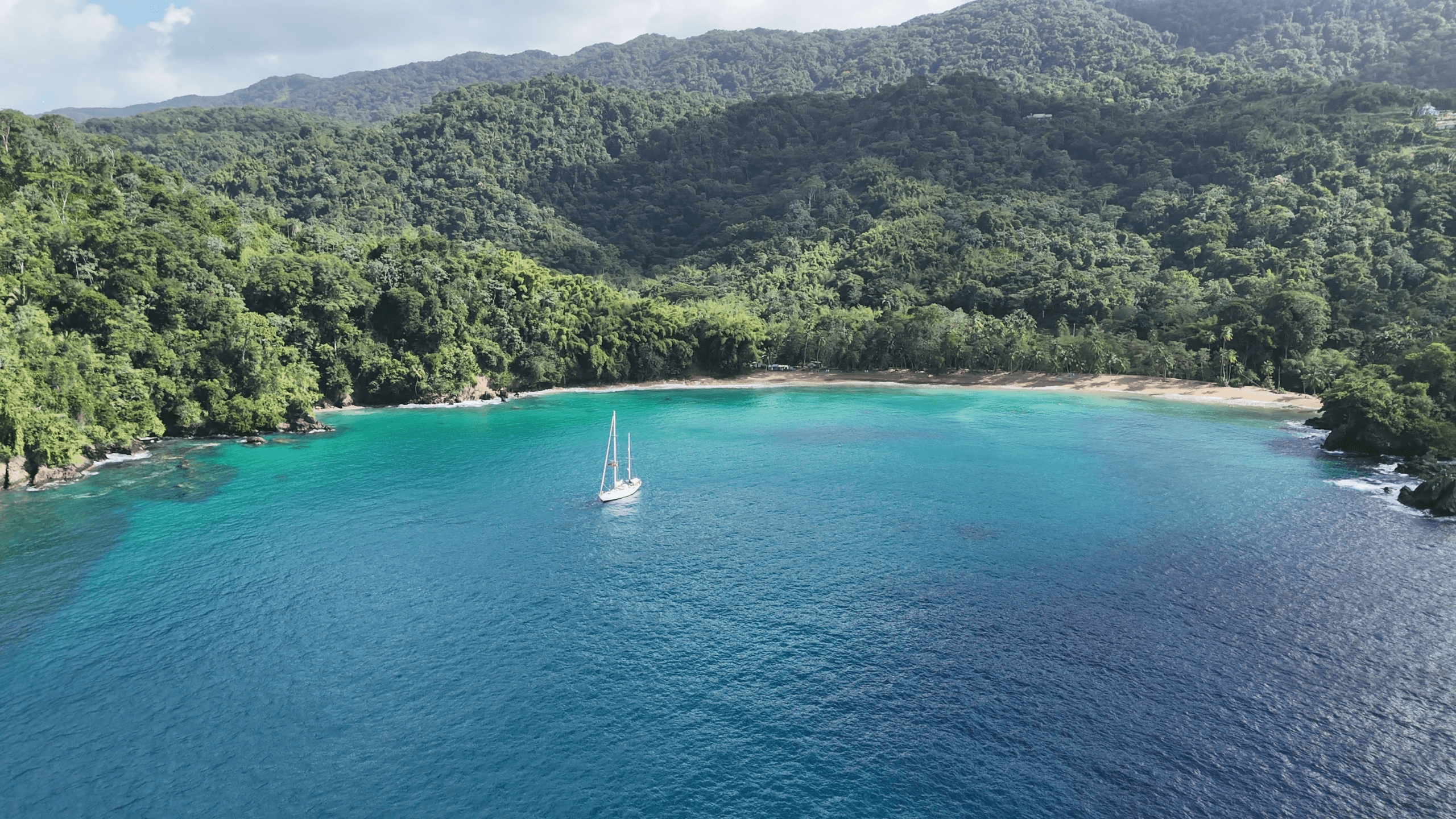 Prijzen & data Swan 65